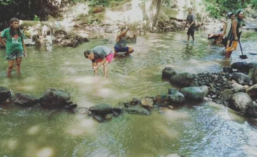 Environmental Impact