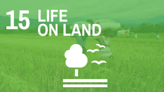 SDG 15 - Life on Land